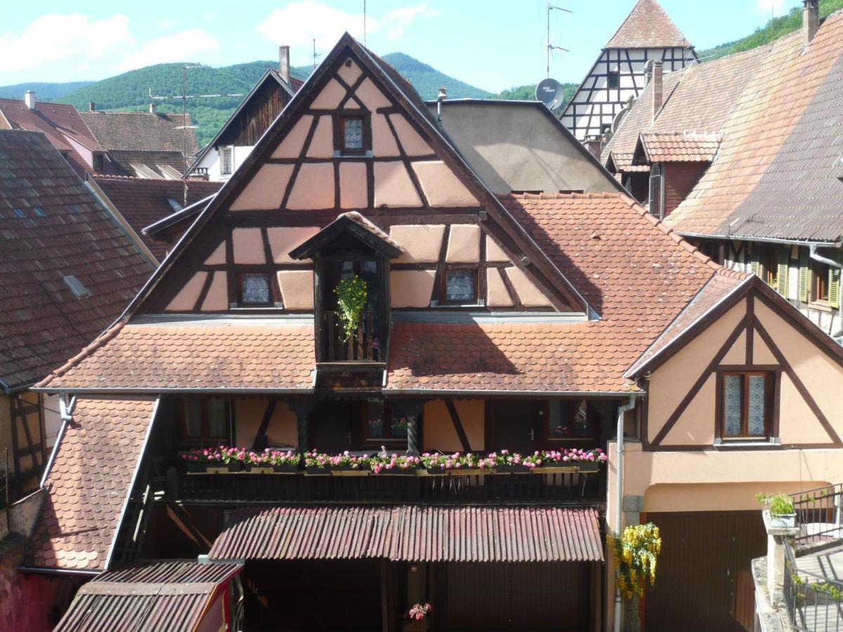 Apartmán Le Seigle, La Cour Des Meuniers Kaysersberg-Vignoble Exteriér fotografie